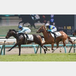 初勝利は中山千八