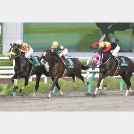 昨年のシリウスSではアポロケンタッキー(右)に先着