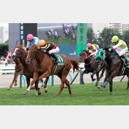 札幌2歳Sを快勝