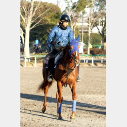 オルフェ産駒が勝つ