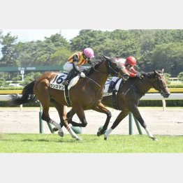 新馬戦を差し切った
