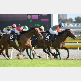 アイビーSで3連勝