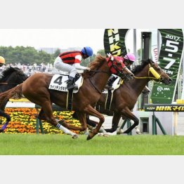 5走前は現級で2度目の連対