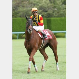 ラビットランはローズSで重賞ウイナーに