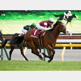 京王杯2歳Sは2馬身差