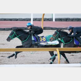 トーセンビクトリー(右)に1馬身先着した