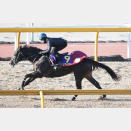 最後まで馬なりでもインパクトは強烈