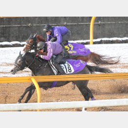 シュヴァルグラン(奥)は1F12秒2で動いたが…