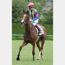 ラストランをVで飾るか