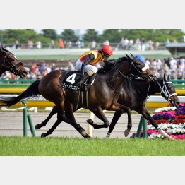3歳時にスイートピーSを快勝