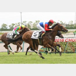 中京では未勝利勝ちもある