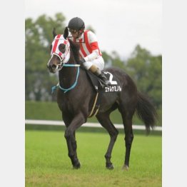 八坂Sを完勝