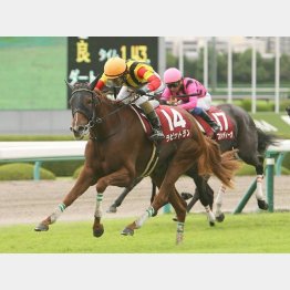 ローズSを差し切った