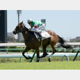 デビュー戦は圧倒的な人気に応えた