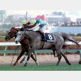 勝ったのはアドマイヤコジーンだった(1998年の朝日杯3歳S)