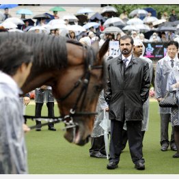 モハメド殿下は馬を見る目も鋭い