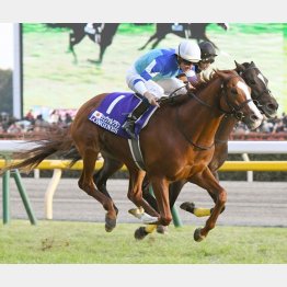ジャパンCを快勝