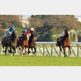 AR共和国杯はスワーヴリチャードが2馬身半差