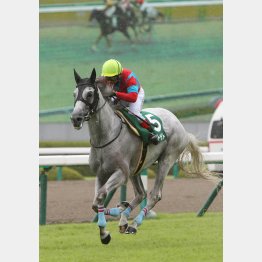前走は1年9カ月ぶりのV