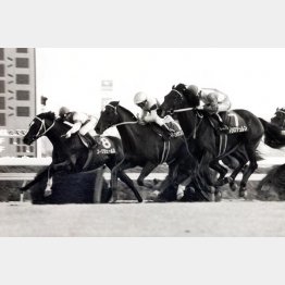 大波乱の決着(97年の有馬記念、①着はメジロデュレン)