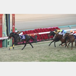 有馬記念はキタサンブラックが勝利