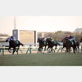 15年は3連単48万オーバー