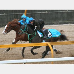 他厩舎の馬をとらえてゴールイン