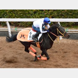水曜坂路は1F11秒7