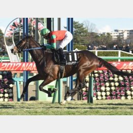 昨年1月はニューイヤーSを快勝