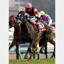 中山でスプリングS勝ち