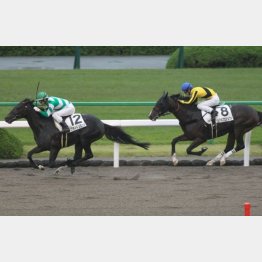 前走は上がり最速で差し切り
