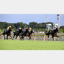 強敵相手のサウジアラビアRCで好走