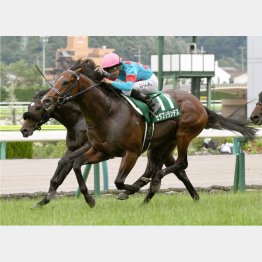 ラジオNIKKEI賞まで3連勝