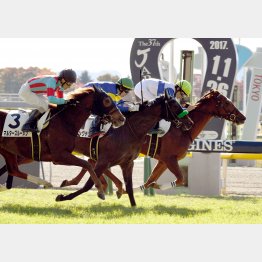 デビューから4戦目で勝ち上がり(最内)
