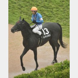 ラジオ日本賞で中山千八6勝目