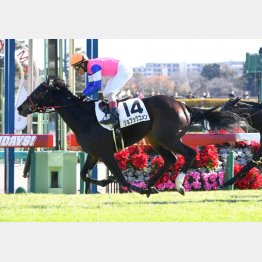 7戦目に初勝利