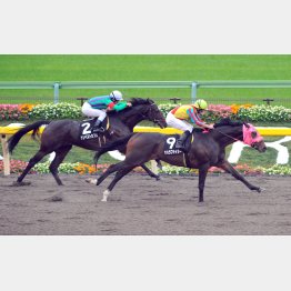 16年の伊勢佐木特別で現級勝ち