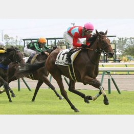 中京千六で初勝利
