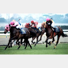 桜花賞はワンダーパヒューム(18番)、ダンスパートナー(17番)に次ぐ3着だった(写真では18番の内側)