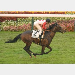 未勝利戦は6馬身差の圧勝
