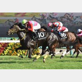 同舞台の勝浦特別で上がり最速V