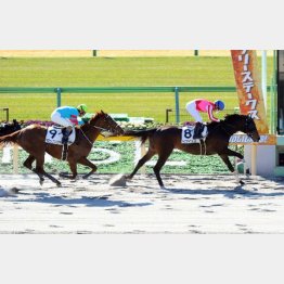 今回は未勝利勝ちと同じパターン