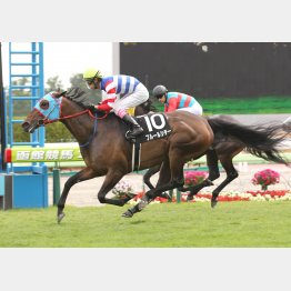 函館のThv賞で準オープン勝ち