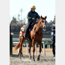 中2週で関西再遠征でも不安なし