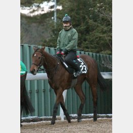 全兄はシンザン記念勝ち馬のミッキーアイル