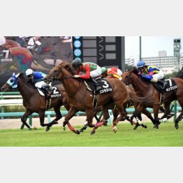 3走前、同じ舞台の古作特別で②着