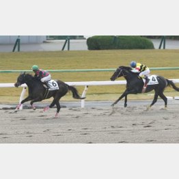 休み明けの前走で②着を確保