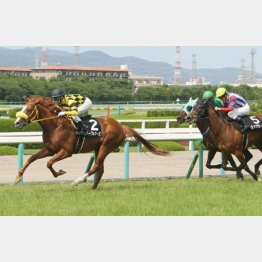 三田特別はトップハンデで快勝