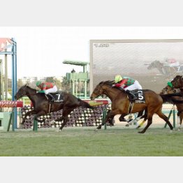 昨年もこのレースを快勝