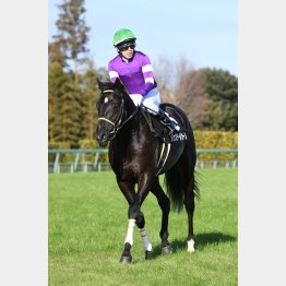 2連勝中のジェネラーレウーノ